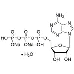 Adenosine-5'-triphosphate disodium salt trihydrate|38834|51963-61-2