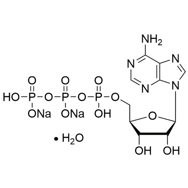 Adenosine-5'-triphosphate disodium salt trihydrate|38834|51963-61-2