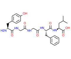 Leu-Enkephalin|CPTD788580|58822-25-6