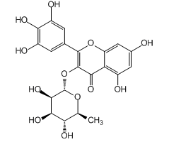 Myricitrin, 98%, from Myrica rubra (Lour.) Sieb. & Zucc.|592132|17912-87-7