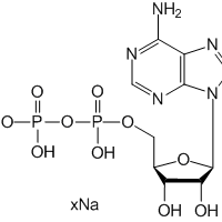 Adenosine 5'-diphosphate sodium salt, 98%|594034|20398-34-9