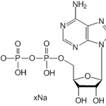 Adenosine 5'-diphosphate (sodium salt)|CS-W011507|20398-34-9