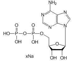 Adenosine 5'-diphosphate (sodium salt)|CS-W011507|20398-34-9