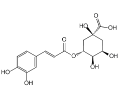 Chlorogenic acid, 98%, from Eucommia ulmoides Oliver|211812|327-97-9
