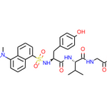 Dansyl-Tyr-Val-Gly-OH trifluoroacetate salt|32897
