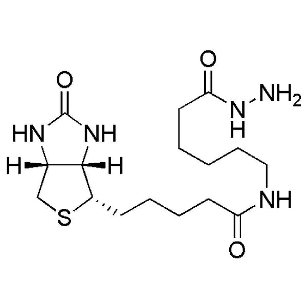 (+)-Biotinamidocaproyl hydrazide|22980|109276-34-8