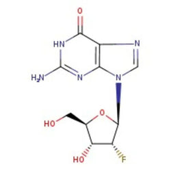 2'-Deoxy-2'-fluoroguanosine, 99%|981848|78842-13-4