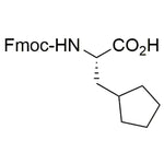 Fmoc-L-cyclopentylalanine|31953|371770-32-0