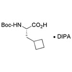Boc-b-cyclobutyl-L-Alanine·Diisopropylamine salt|15108|1309668-80-1