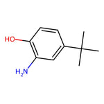 2-Amino-4-(tert-butyl)phenol|CS-W017884|1199-46-8