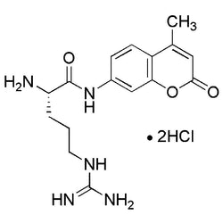 L-Arginine 7-amido-4-methylcoumarin dihydrochloride|05859|113712-08-6