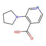 3-(Pyrrolidin-1-yl)isonicotinic acid|CS-0443483|1257901-68-0