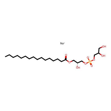 1-Palmitoyl-2-hydroxy-sn-glycero-3-PG (sodium)|C1554417|326495-22-1