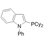 N-Phenyl-2-(dicyclohexylphosphino)indol, min. 95% [cataCXium? PInCy]|15-3605|740815-36-5