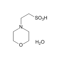 2-(N-Morpholino)ethanesulfonic acid monohydrate, 99%|284155|145224-94-8