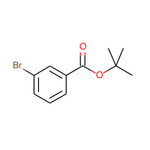 tert-Butyl 3-Bromobenzoate|CS-M2538|69038-74-0