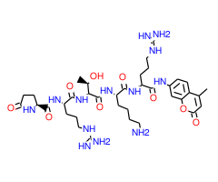 Pyr-Arg-Thr-Lys-Arg-AMC|CPTD786394|155575-02-3