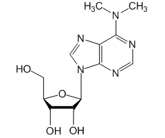 6-Dimethylamino-9-(β-D-ribofuranosyl)purine|604250|2620-62-4