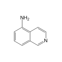 5-Aminoisoquinoline|CS-W001157|1125-60-6