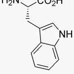 L-Tryptophan, from non-animal source, suitable for cell culture|33068|73-22-3