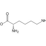 L-Lysine|CS-W019758|56-87-1