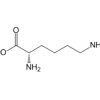 L-Lysine|CS-W019758|56-87-1