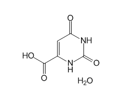 Orotic acid monohydrate, 98%|613136|50887-69-9