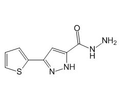 3-(Thiophen-2-yl)-1H-pyrazole-5-carbohydrazide, 97%|208885|889992-74-9