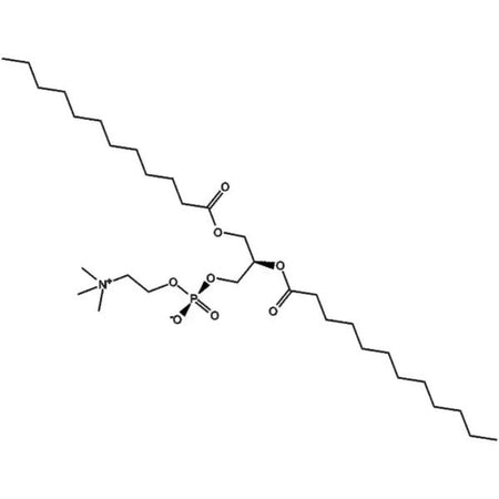 1,2-Dilauroyl-sn-glycero-3-phosphocholine, 99%|480833|18194-25-7
