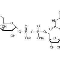 Uridine 5'-Diphosphoglucose Disodium Salt|C1911088|28053-08-9