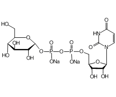 Uridine 5'-Diphosphoglucose Disodium Salt|C1911088|28053-08-9