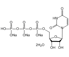 Uridine 5'-triphosphate trisodium salt dihydrate, 96%|618677|116295-90-0