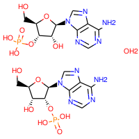 Adenosine 2′-monophosphate|CP111150|130-49-4
