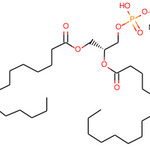 1,2-Dimyristoyl-sn-glycero-3-phosphate monosodium salt|33529|80724-31-8