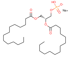 1,2-Dimyristoyl-sn-glycero-3-phosphate monosodium salt|33529|80724-31-8