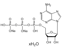 ATP (disodium salt hydrate)|CS-W011451|34369-07-8