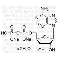 Adenosine-5'-diphosphate disodium salt dihydrate|00010|16178-48-6