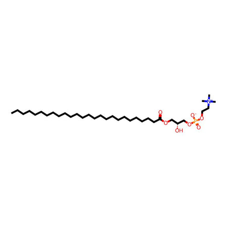 C26:0lysophosphatidvlcholine|C1124400|1213783-80-2