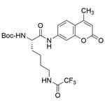 Boc-Lys(Tfa)-AMC|32599|97885-44-4
