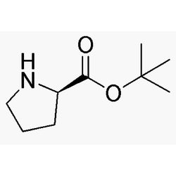 D-Proline tert-butyl ester|06000|90071-62-8