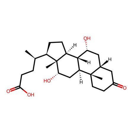Cholic Acid Impurity 19|C4X-116019|2304-89-4