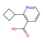 2-Cyclobutylnicotinic acid|CS-0464411|1779133-20-8