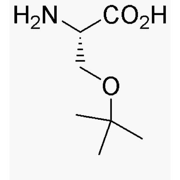 O-tert-Butyl-L-serine|00429|18822-58-7