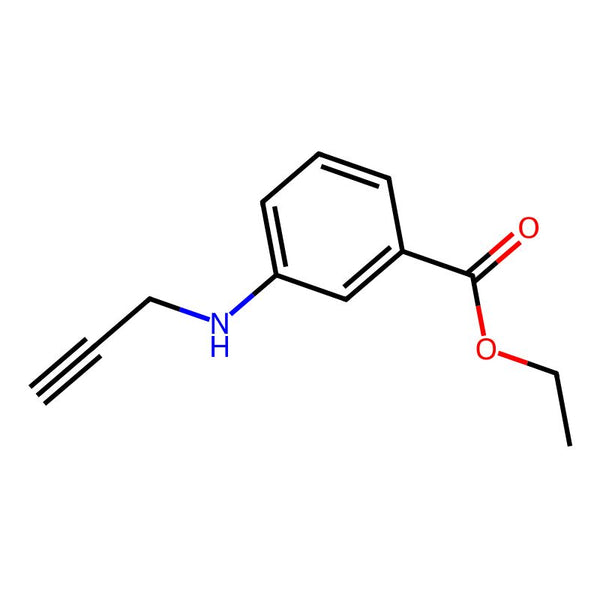 Ethyl 3-(prop-2-yn-1-ylamino)benzoate|CS-0348065|1343684-62-7