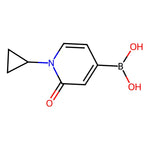 (1-Cyclopropyl-2-oxo-1,2-dihydropyridin-4-yl)boronic acid|CS-0907721|2247432-84-2