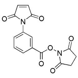 3-Maleimidobenzoic acid N-hydroxysuccinimide ester|01736|58626-38-3