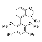 3-(tert-Butyl)-4-(3,5-diisopropyl-2,6-dimethoxyphenyl)-2,3-dihydrobenzo[d][1,3]oxaphosphole, 97%|15-6866