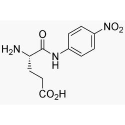 L-Glutamic acid a-4-nitroanilide|06052|24032-35-7