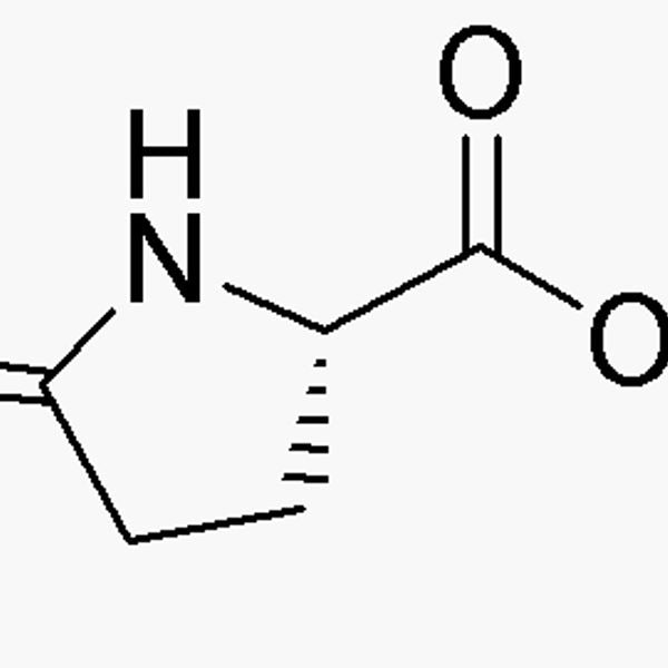 L-Pyroglutamic acid methyl ester|03133|4931-66-2