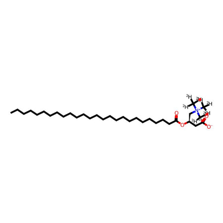Hexacosanoyl camitine-d3 HCl|C1913887|2260670-67-3